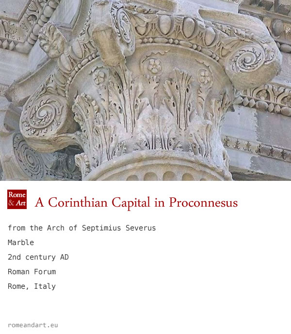 Capitello corinzio in marmo proconneso nell’Arco di Settimio Severo, II sec. d.C. – Foro Romano, Roma