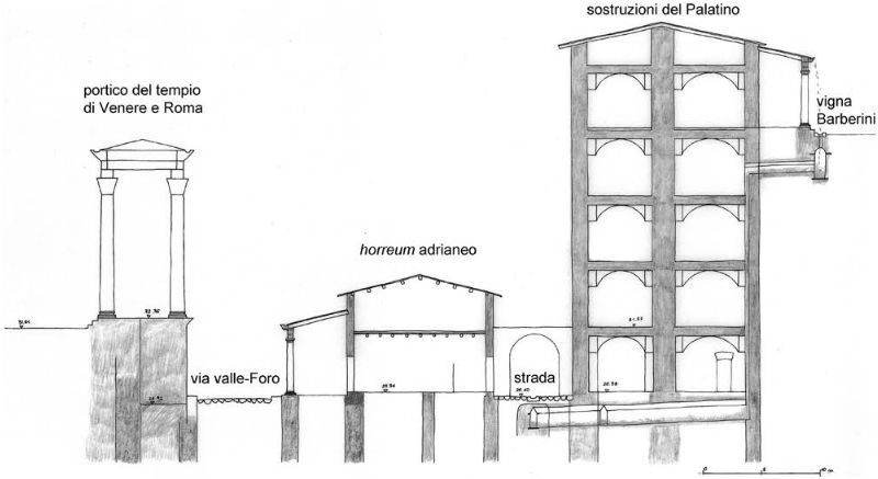 Sezione area Terme di Elagabalo in età adrianea